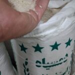 دمسیاه استخوانی معطر ۳۸۹