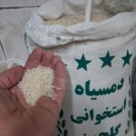 دمسیاه استخوانی