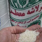 سر لاشه معطر طارم هاشمی