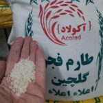 طارم فجر گلچین
