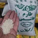 طارم هاشمی کشت دوم معطر
