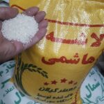 لاشه هاشمی کم عطر