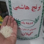 هاشمی لشت نشا